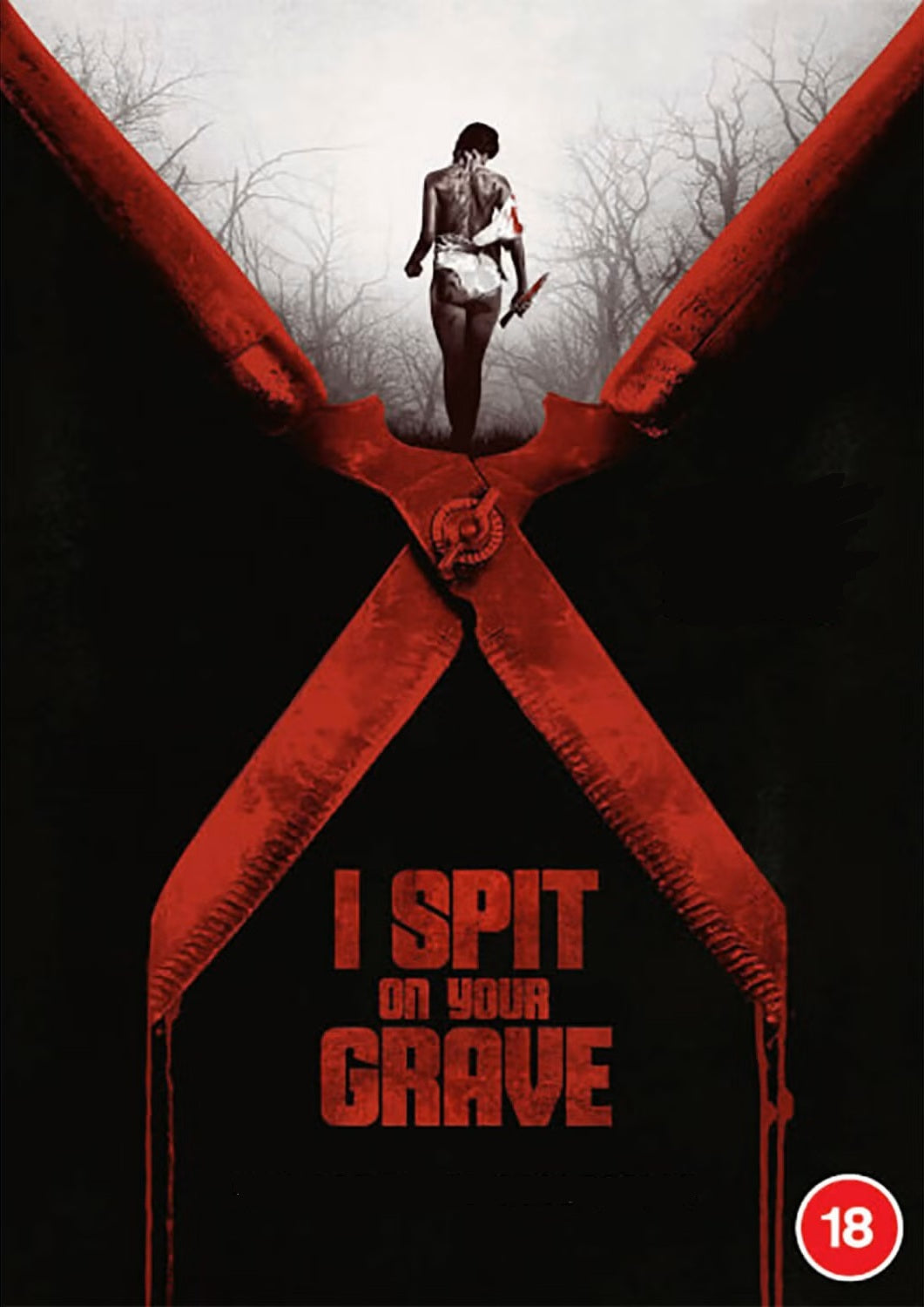 I SPIT ON YOUR GRAVE (1978) Richard Pace, Camille Keaton, Anthony Nichols, Eron Tabor - PUBLIC DOMAIN DVD ONLY NO CASE