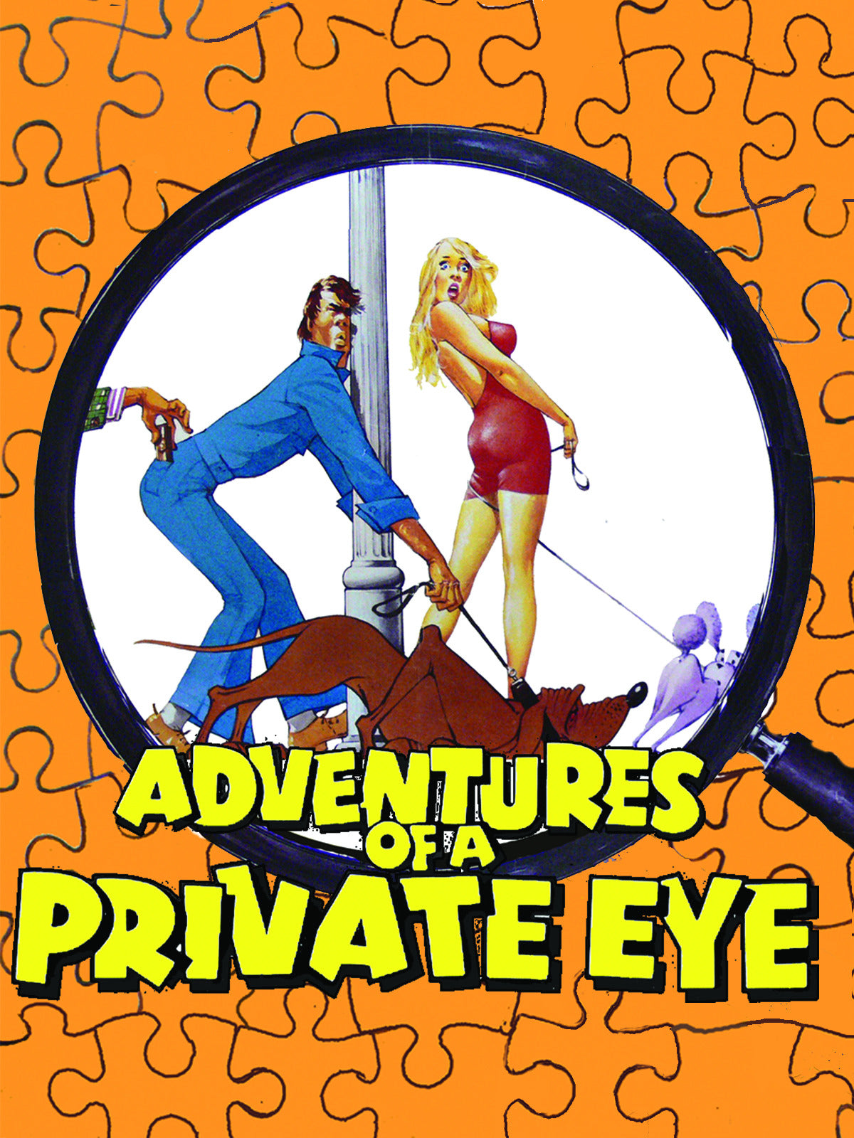 ADVENTURES OF A PRIVATE EYE (1977) Diana Dors, Christopher Neil,Suzy Kendall,Harry H. Corbett, Public Domain DVD NO CASE