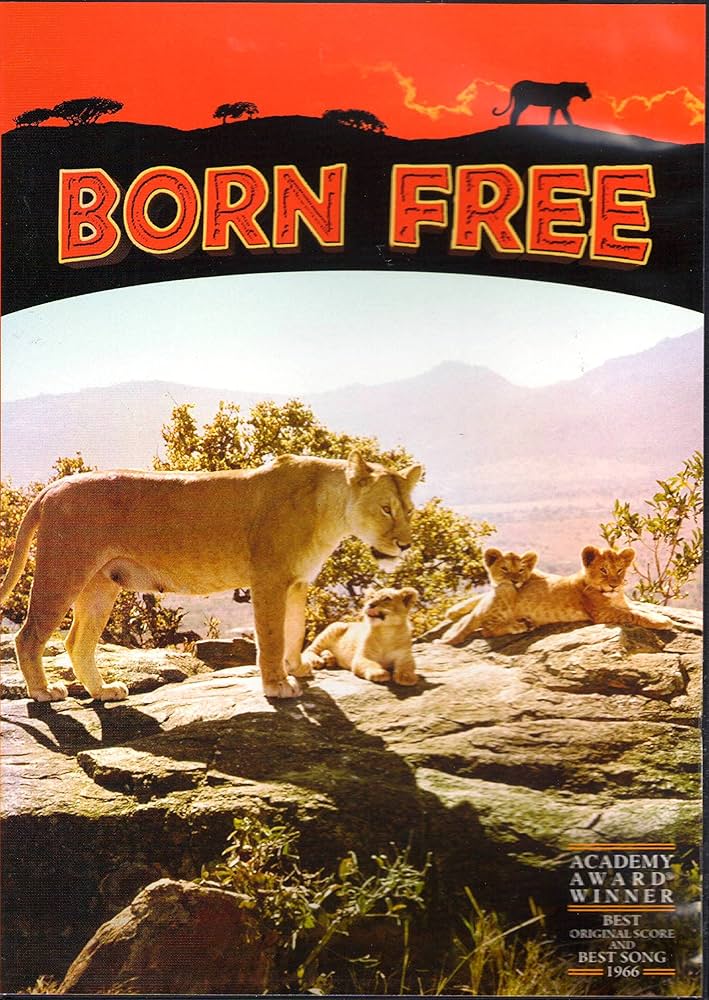 BORN FREE (1966) Virginia McKenna,Bill Travers - Public Domain DVD NO CASE