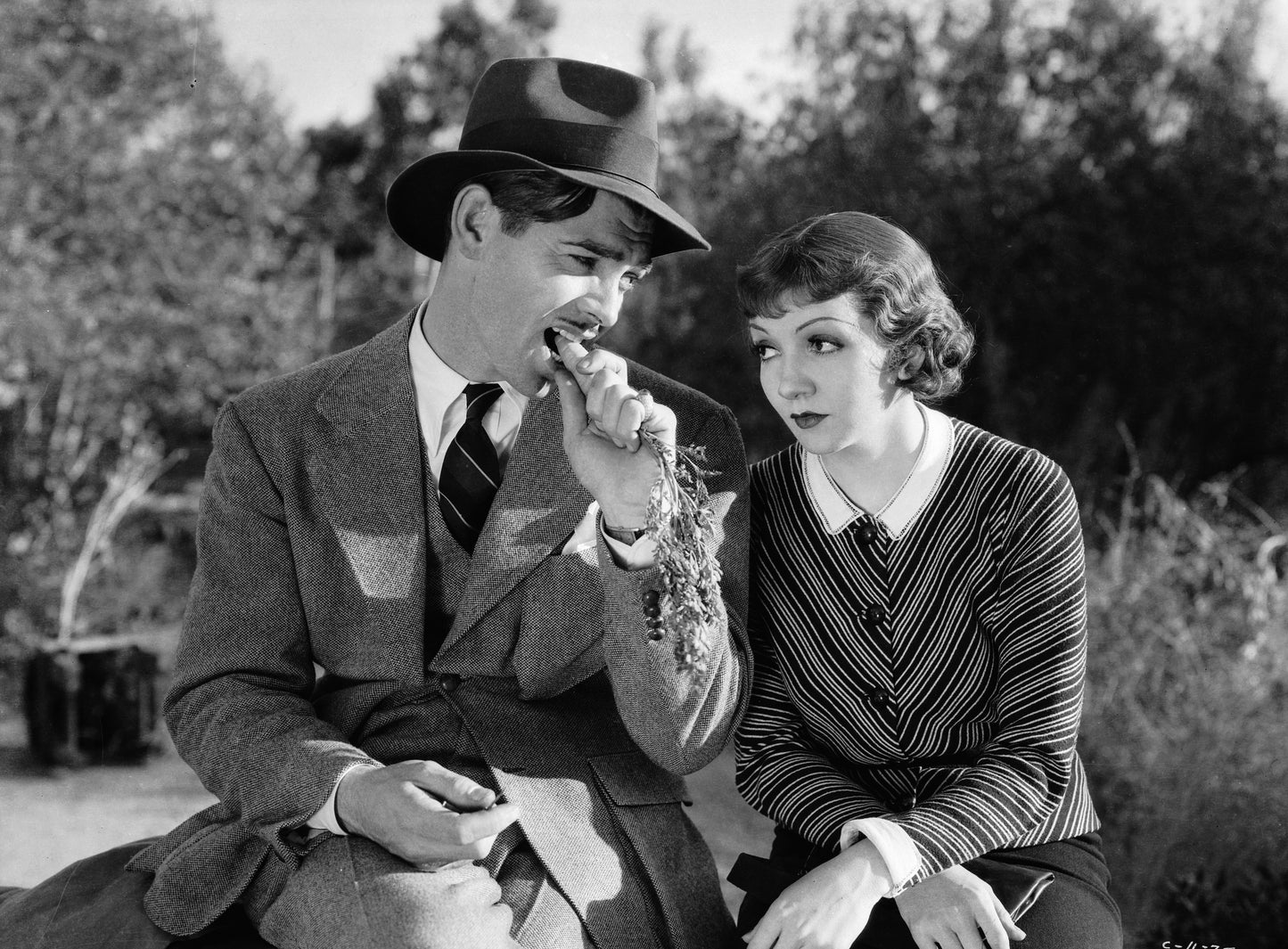 IT HAPPENED ONE NIGHT (1934) Clark Gable, Claudette Colbert - PUBLIC DOMAIN DVD ONLY NO CASE