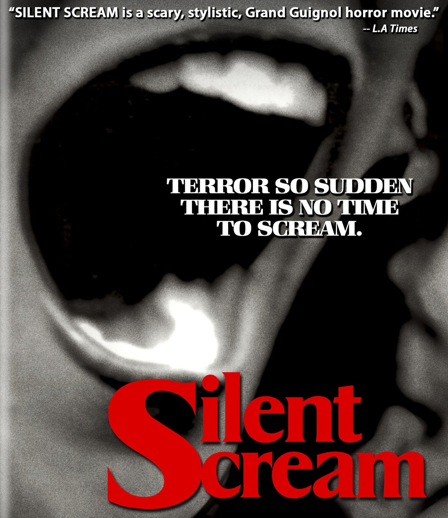 THE SILENT SCREAM (1979) Rebecca Balding,Barbara Steele,Cameron Mitchell,Yvonne De Carlo - Public Domain DVD NO CASE