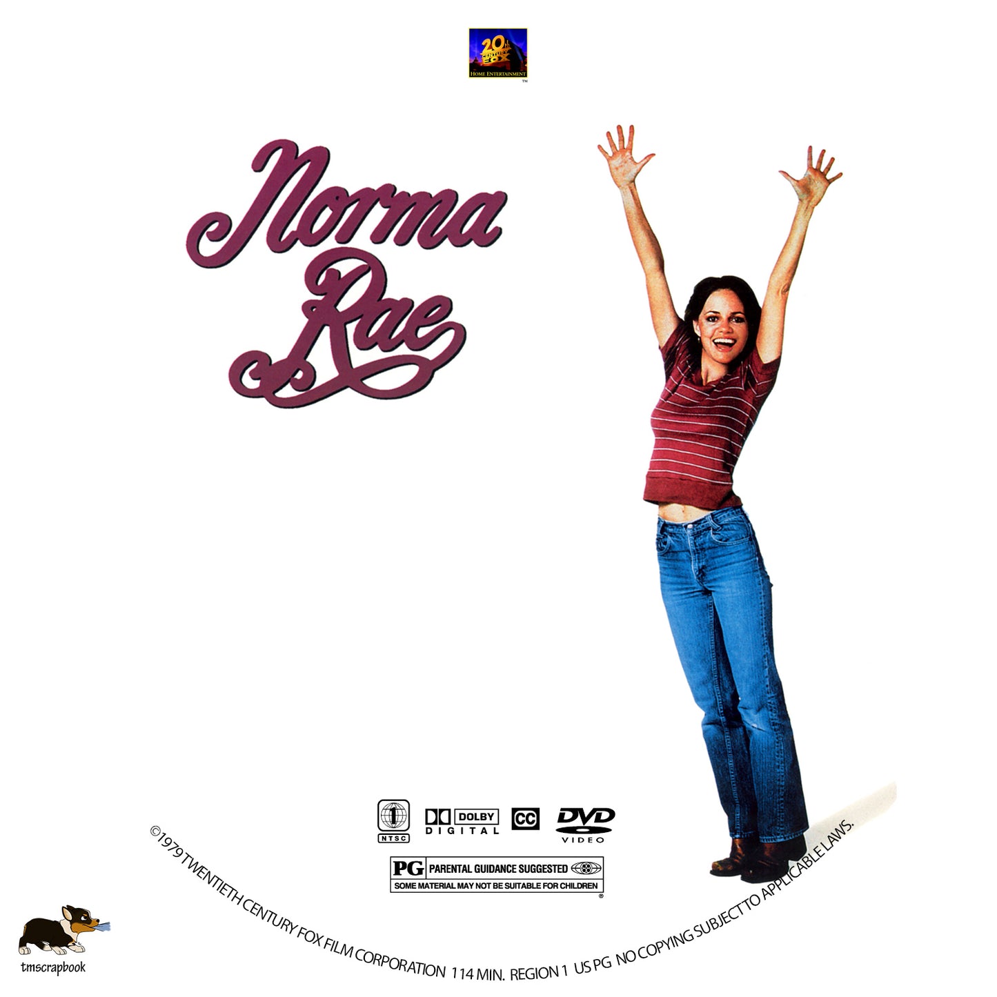 NORMA RAE (1979) Sally Field,Ron Leibman,Beau Bridges,Pat Hingle,Barbara Baxley - PUBLIC DOMAIN DVD ONLY NO CASE