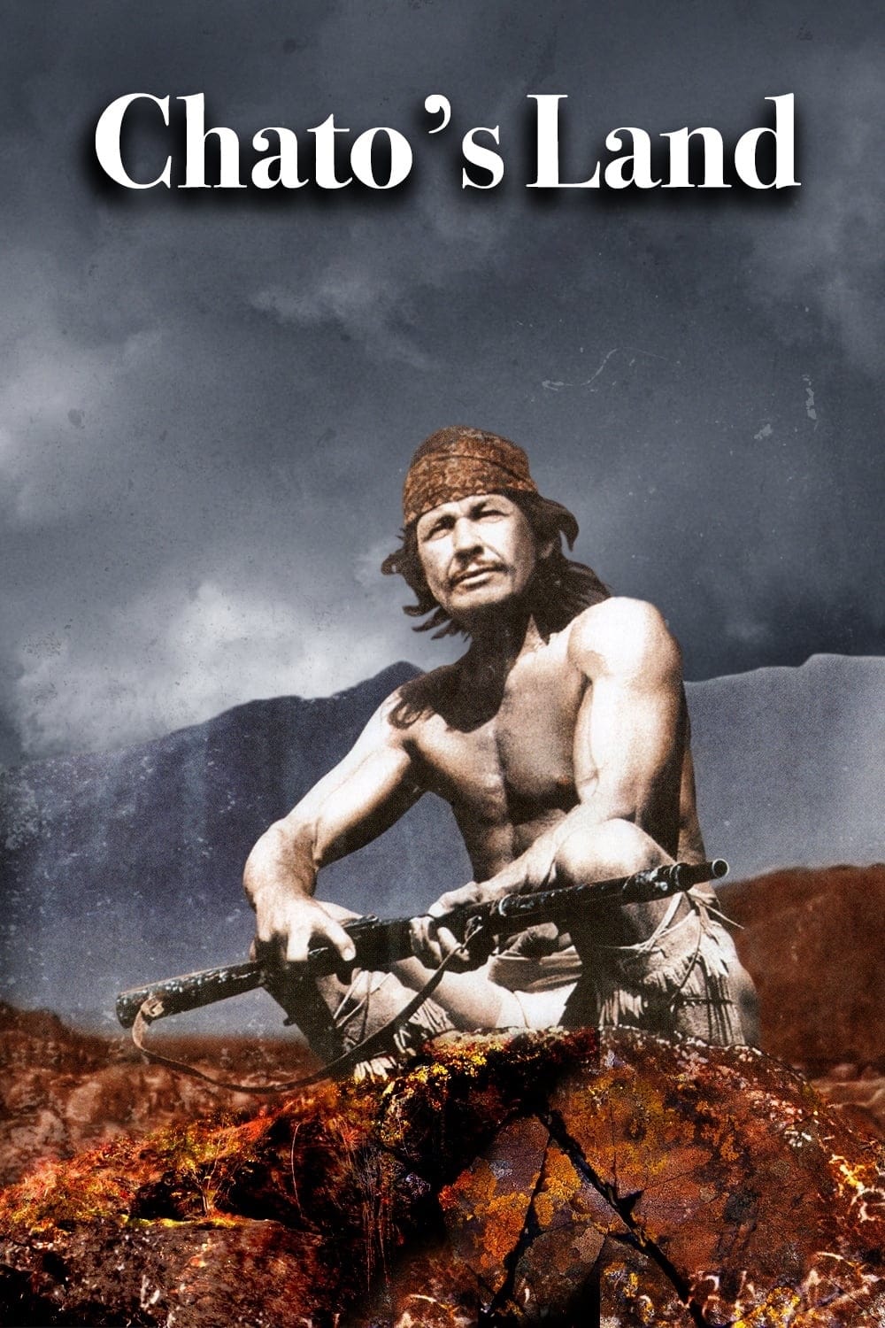 CHATO'S LAND (1972) Charles Bronson,Jack Palance - Public Domain DVD NO CASE RARE !