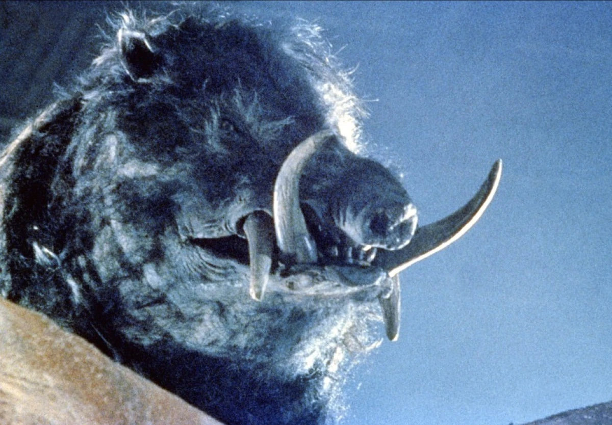 RAZORBACK (1984) Gregory Harrison,Arkie Whiteley,Bill Kerr,Chris Haywood - Public Domain DVD NO CASE