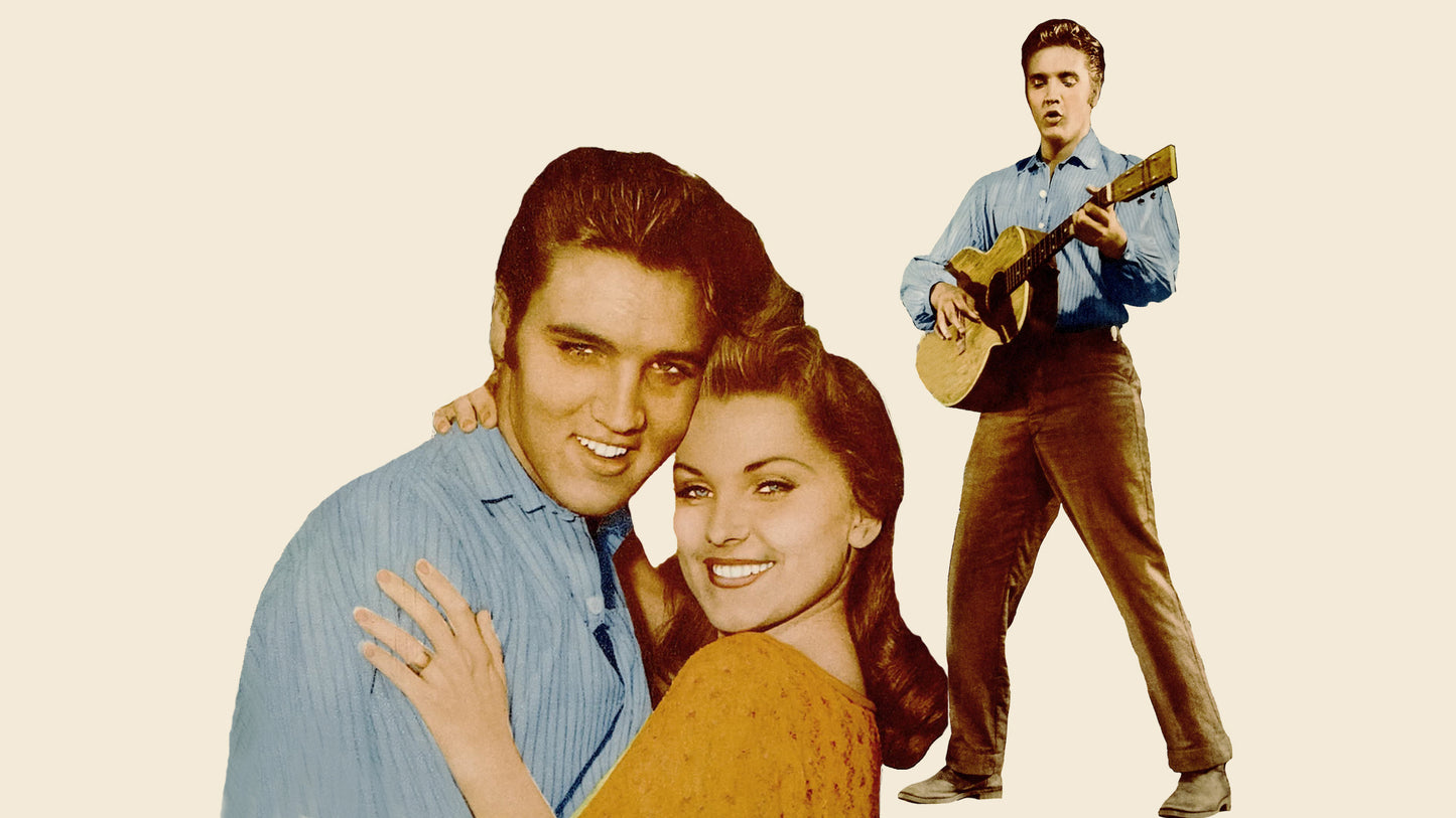 LOVE ME TENDER (1956) Starring - Richard Egan,Debra Paget,Elvis Presley - Public Domain Movie DVD NO CASE
