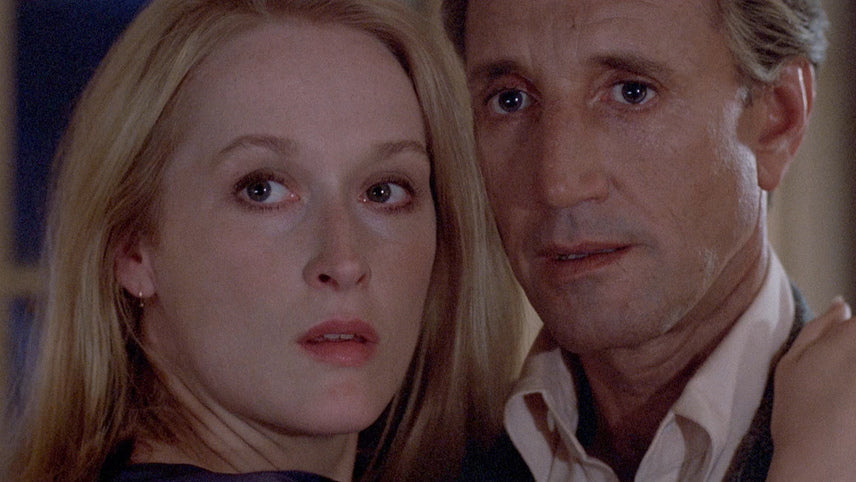 STILL OF THE NIGHT (1982) Roy Scheider,Meryl Streep,Jessica Tandy,Josef Sommer - PUBLIC DOMAIN DVD ONLY NO CASE