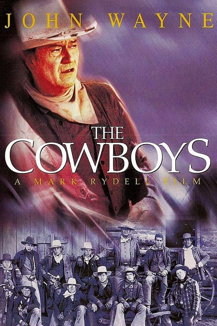 THE COWBOYS (1972) John Wayne,Roscoe Lee Browne,Bruce Dern,Colleen Dewhurst, Public Domain DVD NO CASE