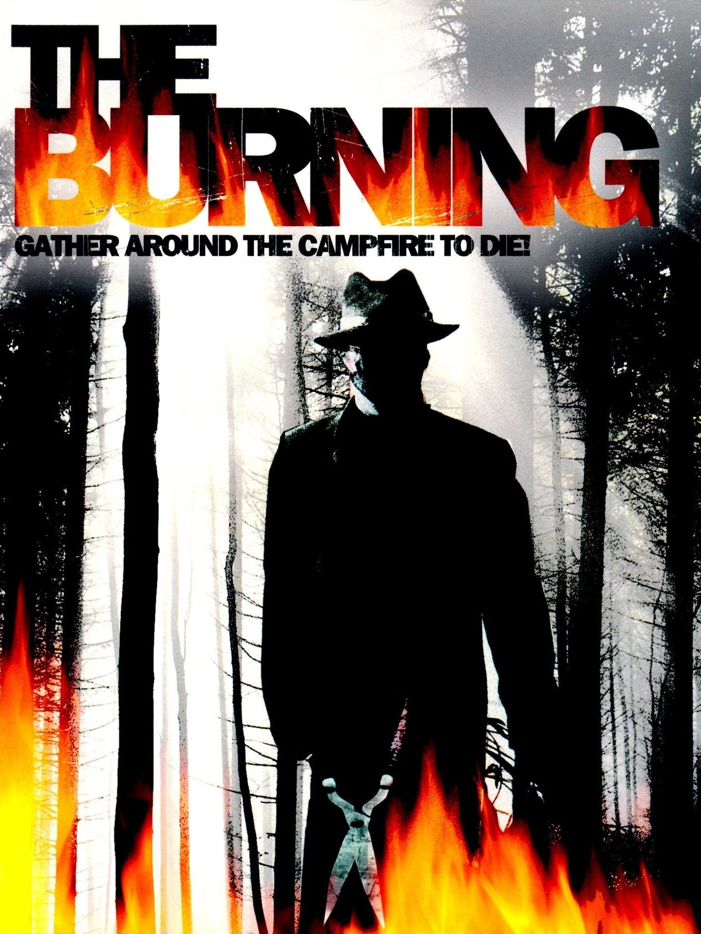 THE BURNING (1981) Brian Matthews,Leah Ayres,Brian Backer,Jason Alexander - Public Domain DVD NO CASE RARE !