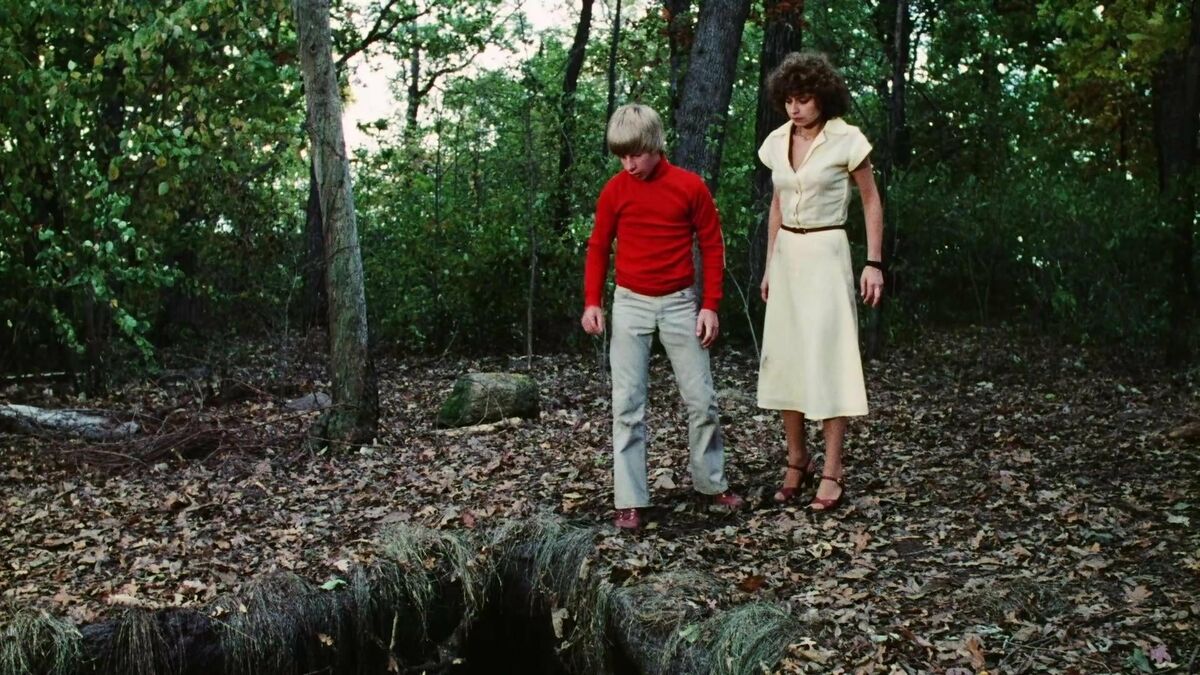 THE PIT (1981) Sammy Snyders,Jeannie Elias - PUBLIC DOMAIN DVD ONLY NO CASE