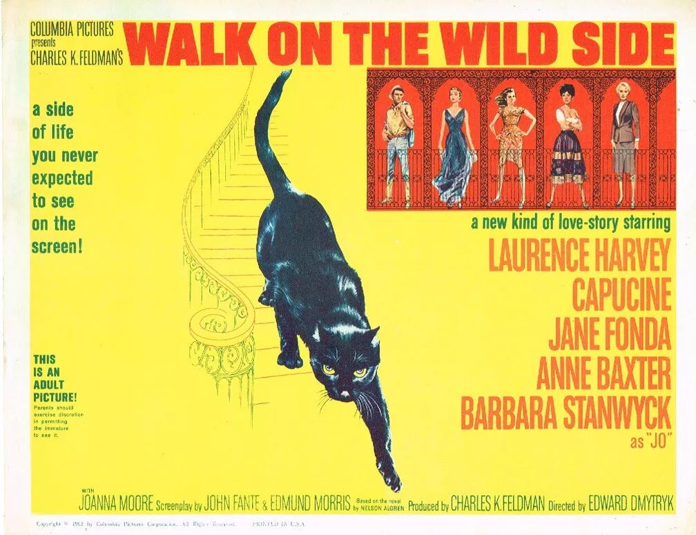 WALK ON THE WILD SIDE (1962) Barbara Stanwyck - Public Domain Movie DVD NO CASE