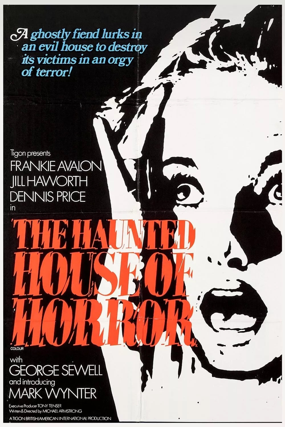 THE HAUNTED HOUSE OF HORROR (1969) Frankie Avalon, Jill Haworth, Dennis Price - DVD, Public Domain DVD NO CASE