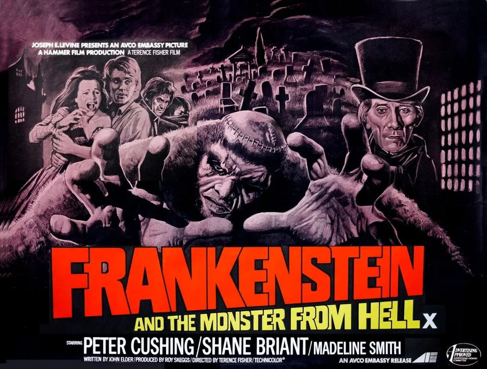 Frankenstein and the Monster from Hell 1974 DVD, Public Domain DVD NO CASE