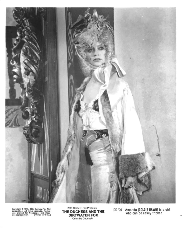The Duchess & The Dirtwater Fox (1976) Goldie Hawn, George Segal - Public Domain Movie DVD NO CASE