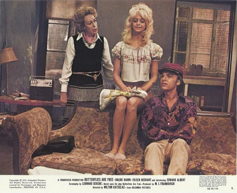 BUTTERFLIES ARE FREE (1972) GOLDIE HAWN - Public Domain Movie DVD NO CASE