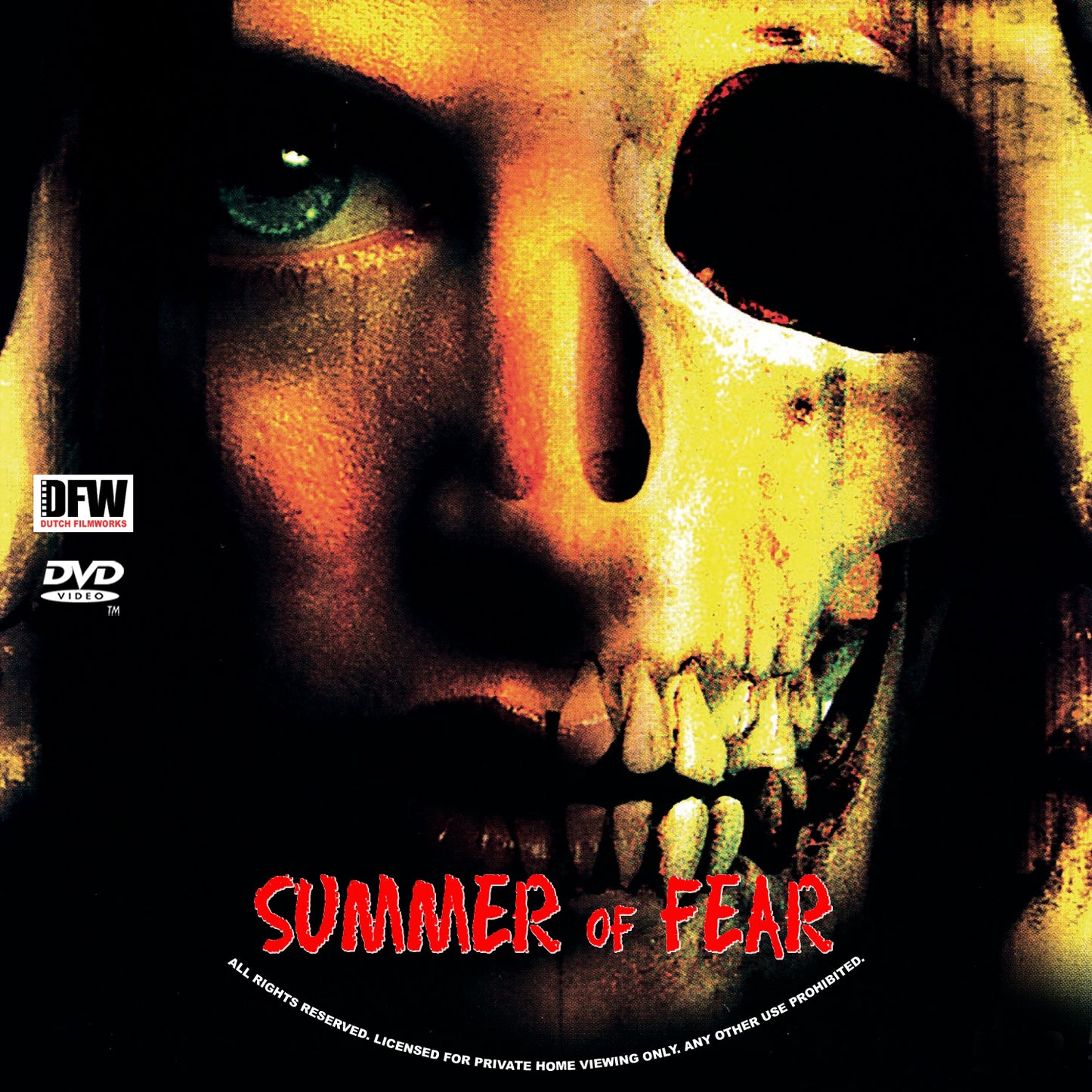 SUMMER OF FEAR (1978) Starring - Linda Blair,Lee Purcell - VERY RARE DELETED DVD NO CASE