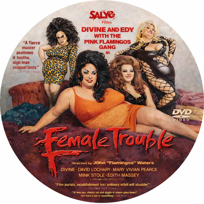 FEMALE TROUBLE (1974) Divine ,David Lochary ,Mary Vivian Pearce ,Mink Stole ,Edith Massey - Public Domain DVD NO CASE