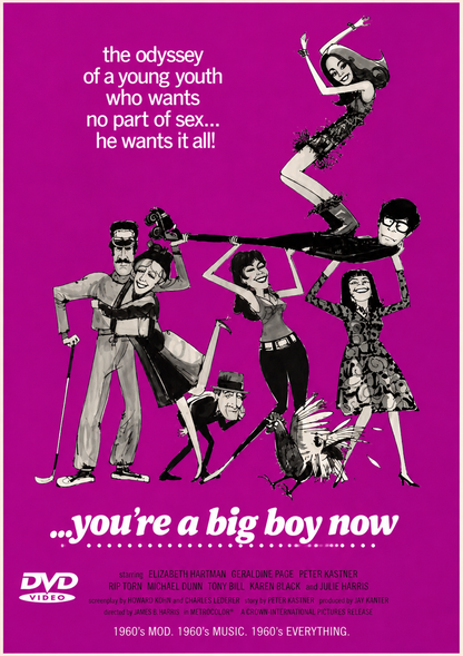 YOU'RE A BIG BOY NOW (1966) Peter Kastner, Elizabeth Hartman, Geraldine Page - PUBLIC DOMAIN DVD ONLY NO CASE