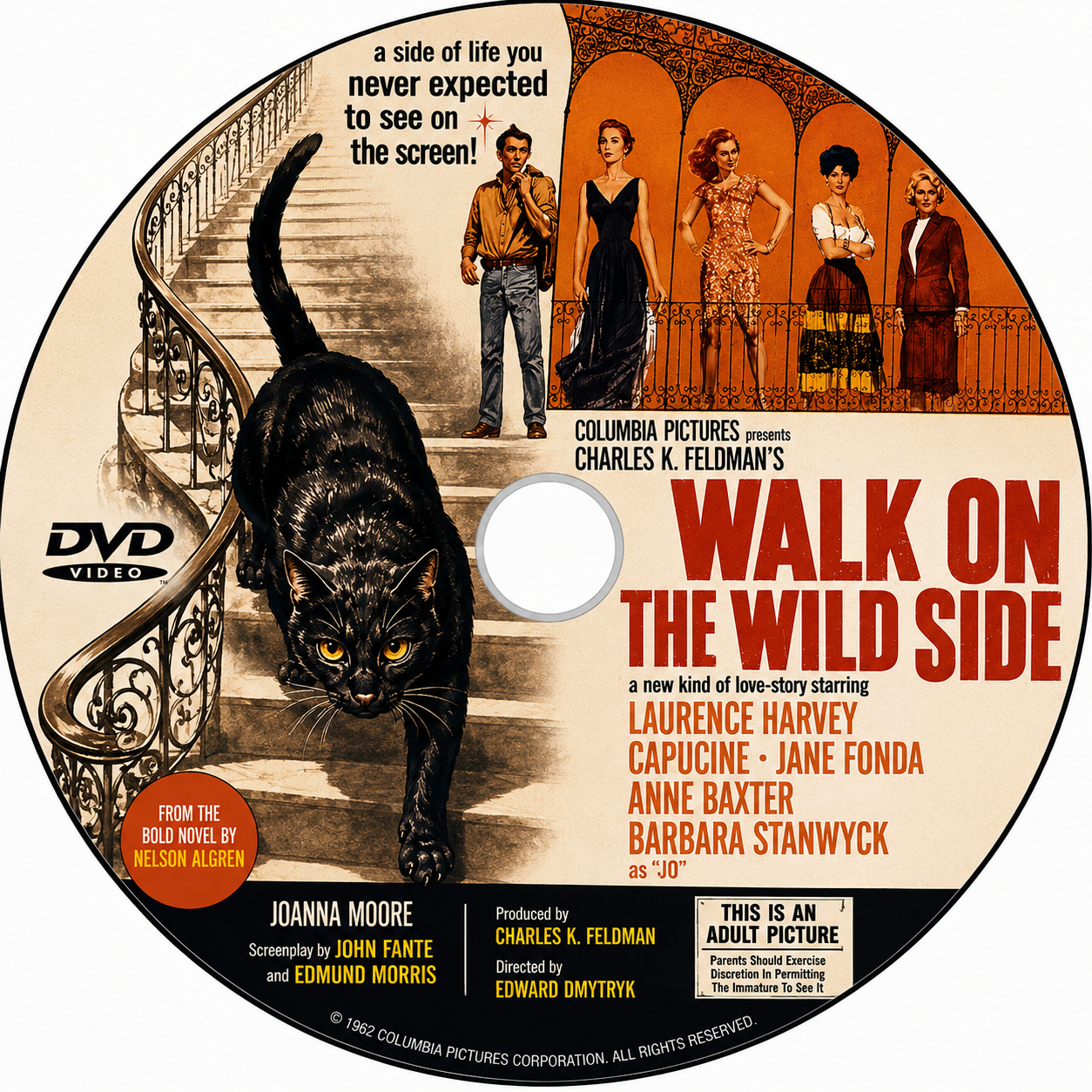 WALK ON THE WILD SIDE (1962)  Barbara Stanwyck - Public Domain Movie DVD NO CASE