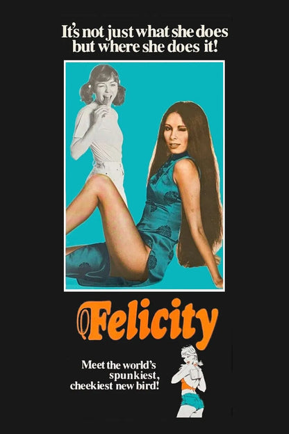 FELICITY (1978) Glory Annen,Marilyn Rodgers,Joni Flynn,Christopher Milne,Jody Hanson - Public Domain DVD NO CASE