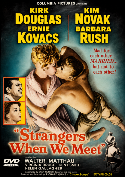 STRANGERS WHEN WE MEET (1960) -  Kirk Douglas,Kim Novak,Walter Matthau  - PUBLIC DOMAIN DVD ONLY NO CASE