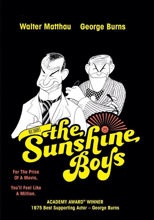 THE SUNSHINE BOYS (1975) George Burns, Richard Benjamin, Carol Arthur, Walter Matthau, Lee Meredith  - Public Domain Movie DVD NO CASE