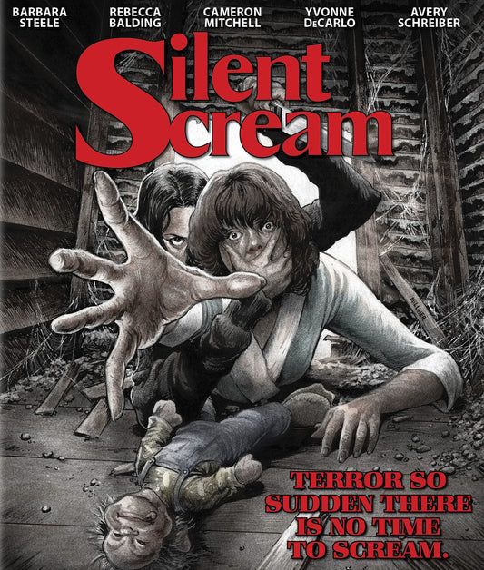 THE SILENT SCREAM (1979) Rebecca Balding,Barbara Steele,Cameron Mitchell,Yvonne De Carlo - Public Domain DVD NO CASE