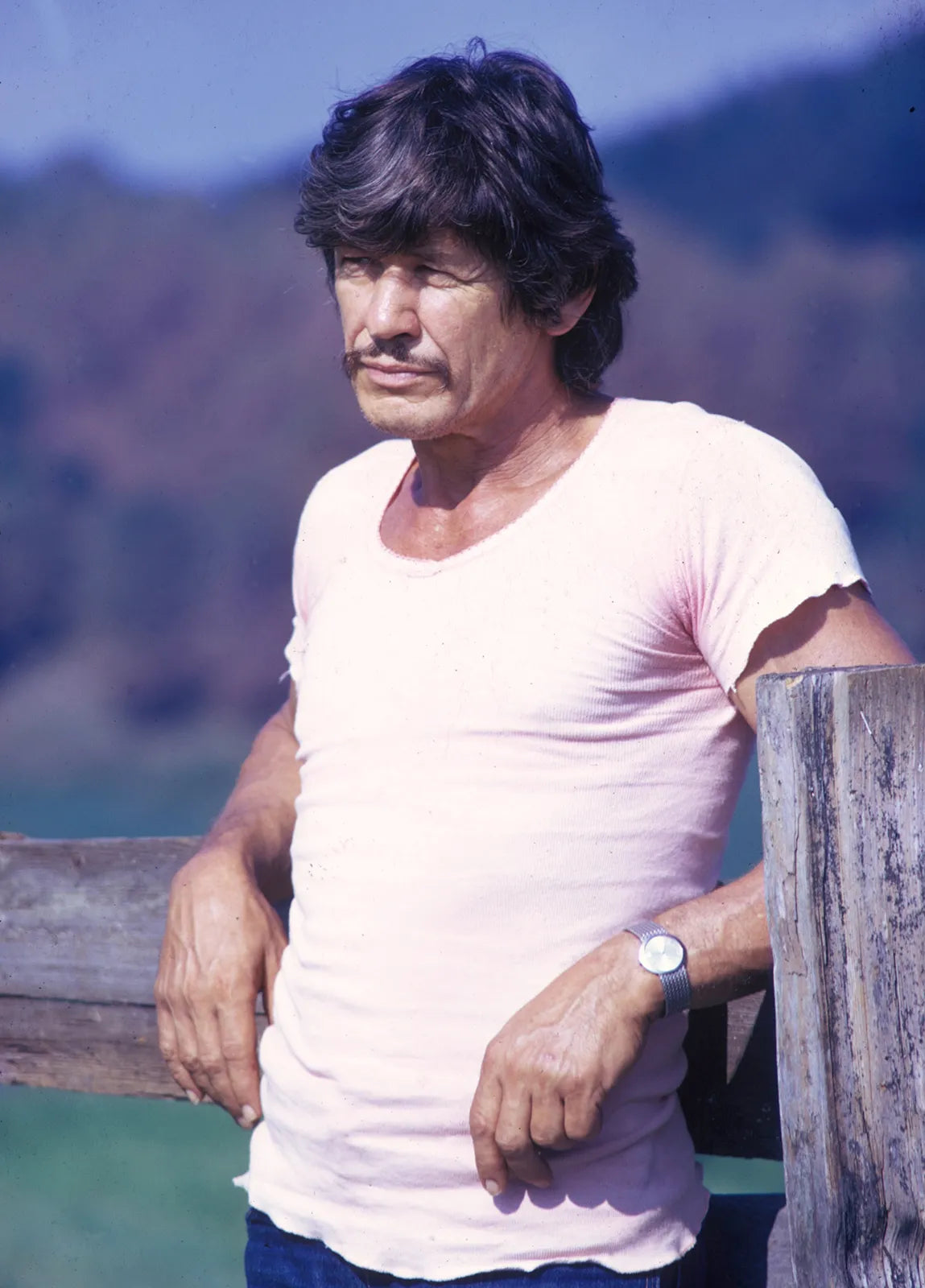 CHARLES BRONSON  - 66 MOVIE COLLECTION ON ONE USB
