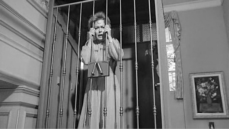 LADY IN THE CAGE - James Caan, Olivia de Havilland - Public Domain DVD NO CASE