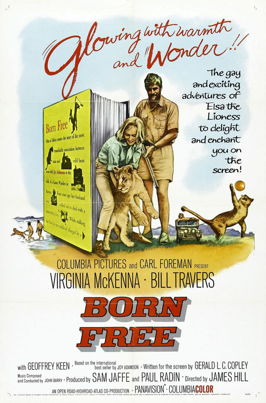 BORN FREE (1966) Virginia McKenna,Bill Travers - Public Domain DVD NO CASE