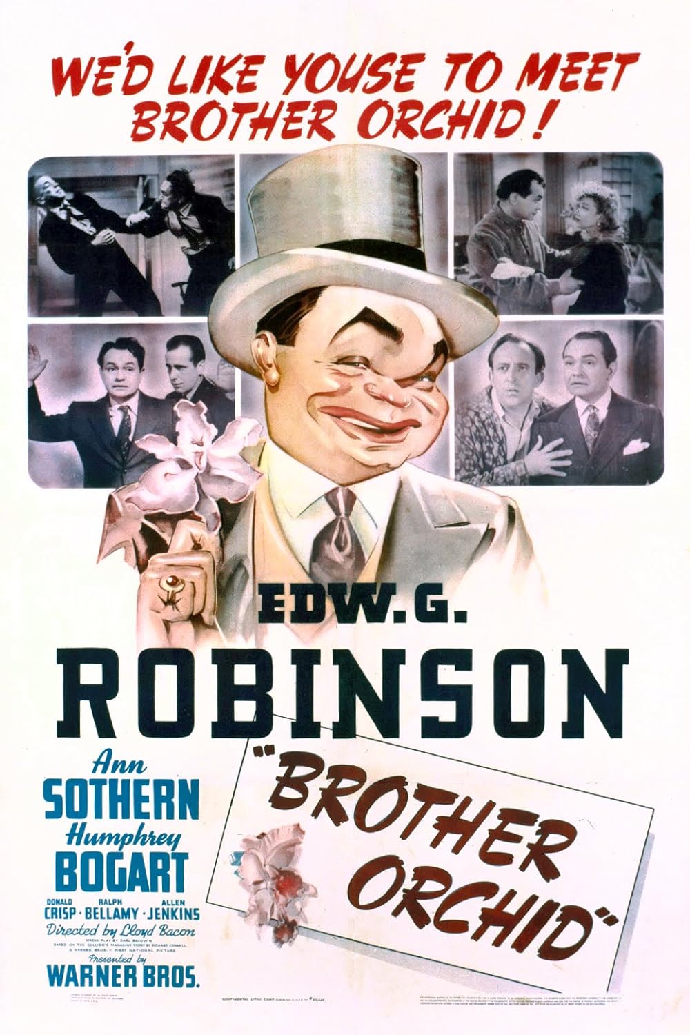 BROTHER ORCHID (1940) Edward G. Robinson,Ann Sothern,Humphrey Bogart - Public Domain DVD NO CASE