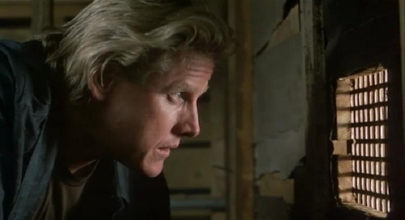 HIDER IN THE HOUSE (18) Starring - Gary Busey - PUBLIC DOMAIN DVD ONLY NO CASE