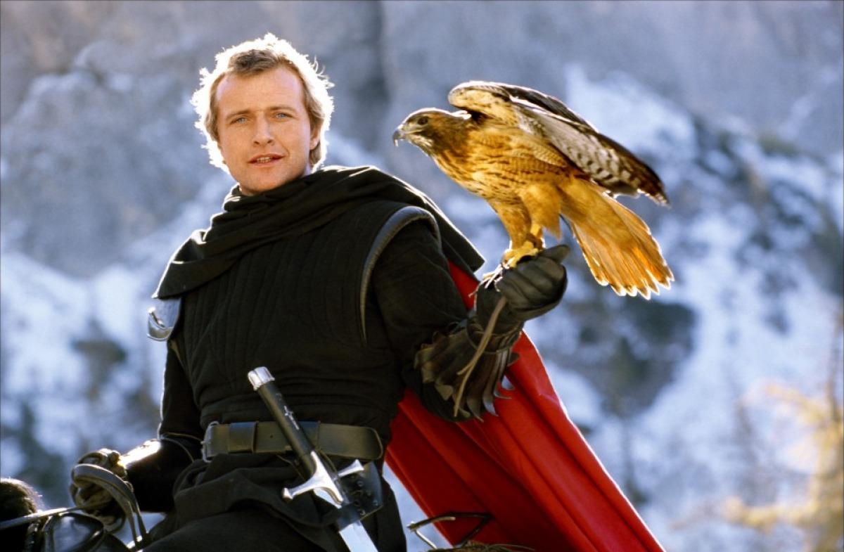 LADYHAWKE (1985) Rutger Hauer and Michelle Pfeiffer - PUBLIC DOMAIN DVD ONLY ON CASE