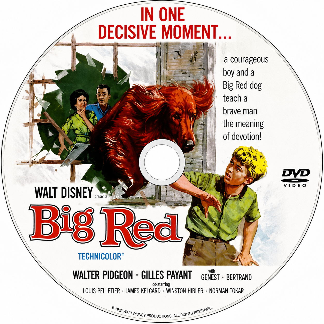 BIG RED (1962) Walter Pidgeon, Gilles Payant, Émile Genest and Janette Bertrand - Public Domain Movie DVD NO CASE