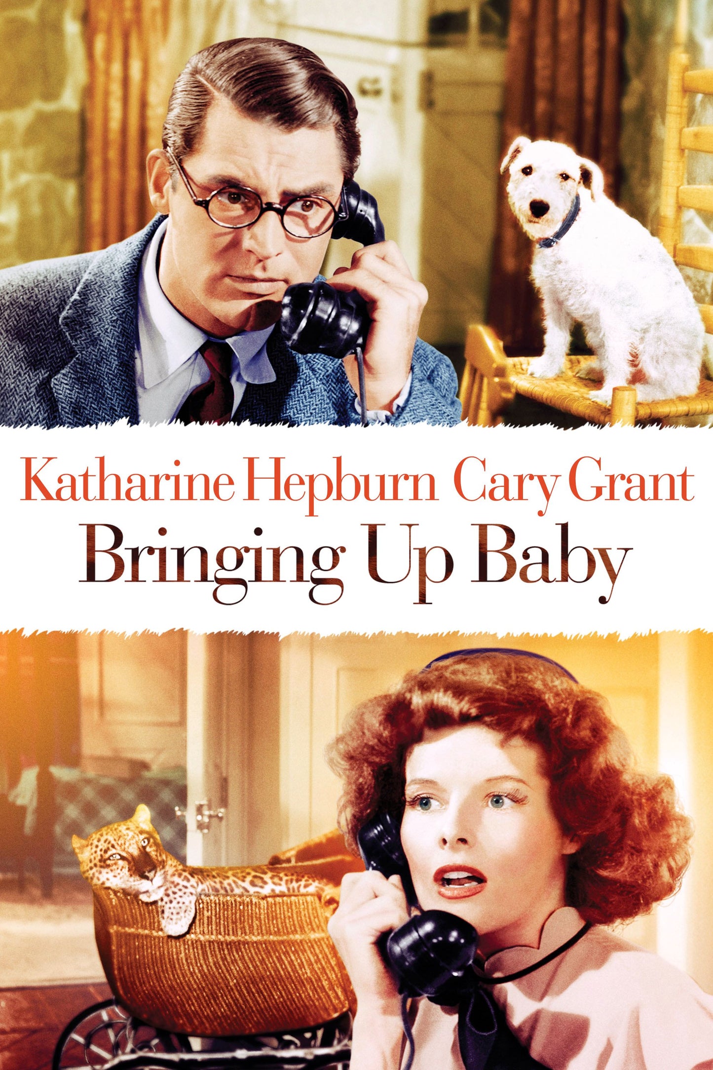 BRINGING UP BABY (1938) Katharine Hepburn,Cary Grant,- Public Domain DVD NO CASE