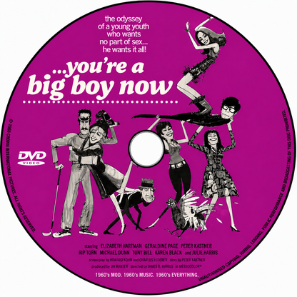 YOU'RE A BIG BOY NOW (1966) Peter Kastner, Elizabeth Hartman, Geraldine Page - PUBLIC DOMAIN DVD ONLY NO CASE