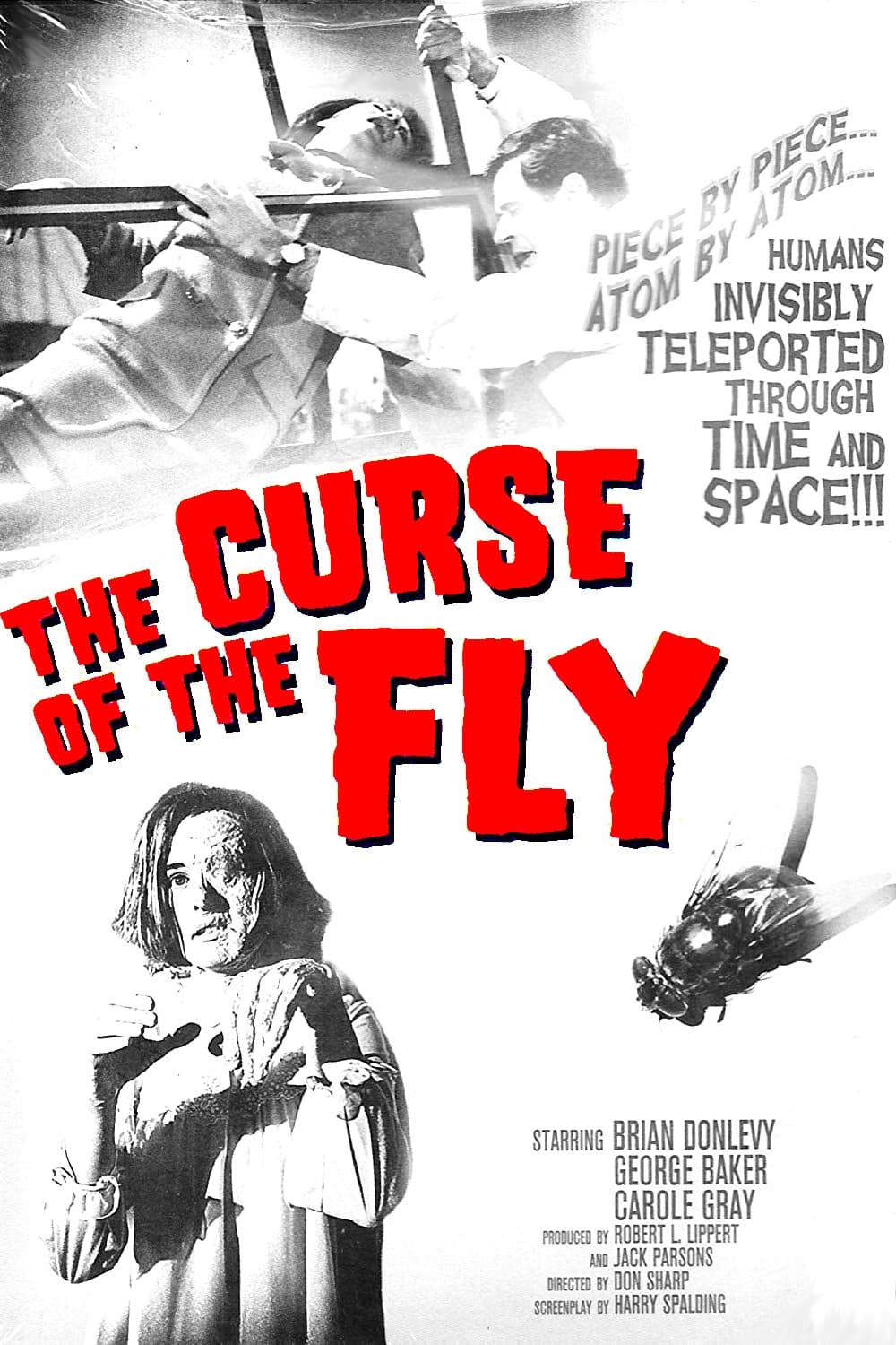 THE CURSE OF THE FLY (1965) Brian Donlevy,Carole Gray,George Baker - Public Domain DVD NO CASE