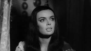 CASTLE OF BLOOD (1964) Barbara Steele,Georges Rivière,Margarete Robsahm - Public Domain Movie DVD NO CASE