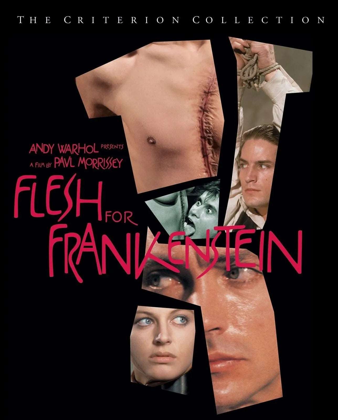 ANDY WARHOL'S FLESH FOR FRANKENSTEIN (1973) - Public Domain Movie DVD NO CASE