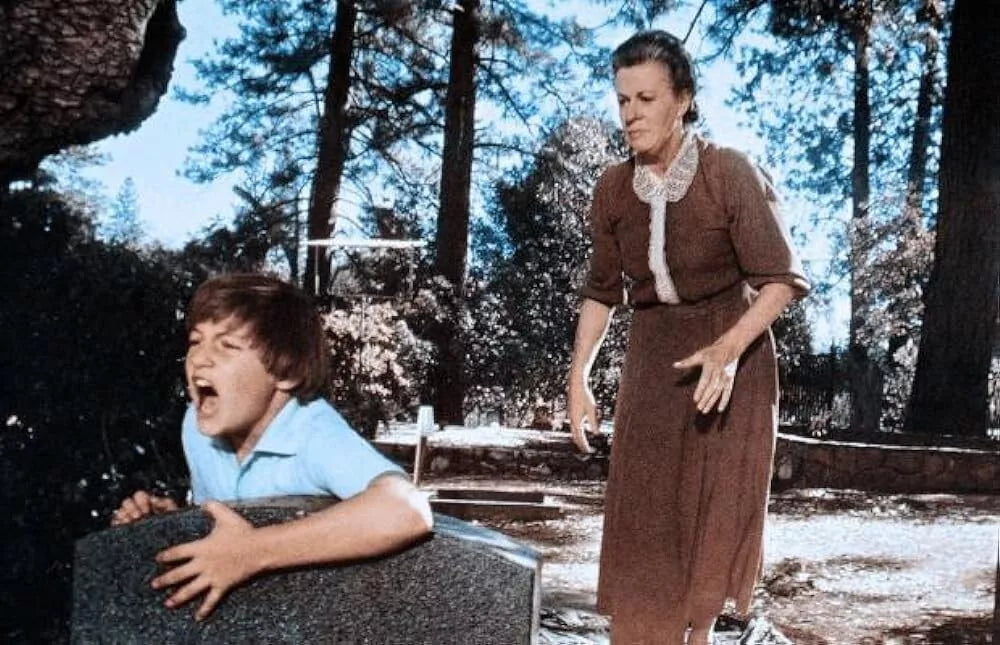 THE OTHER (1972) Uta Hagen,Diana Muldaur - Public Domain Movie DVD NO CASE