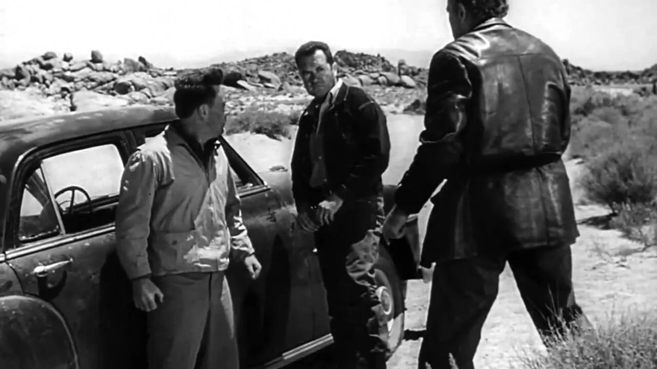 The Hitch-Hiker (1953) Edmond O'Brien, Public Domain DVD NO CASE