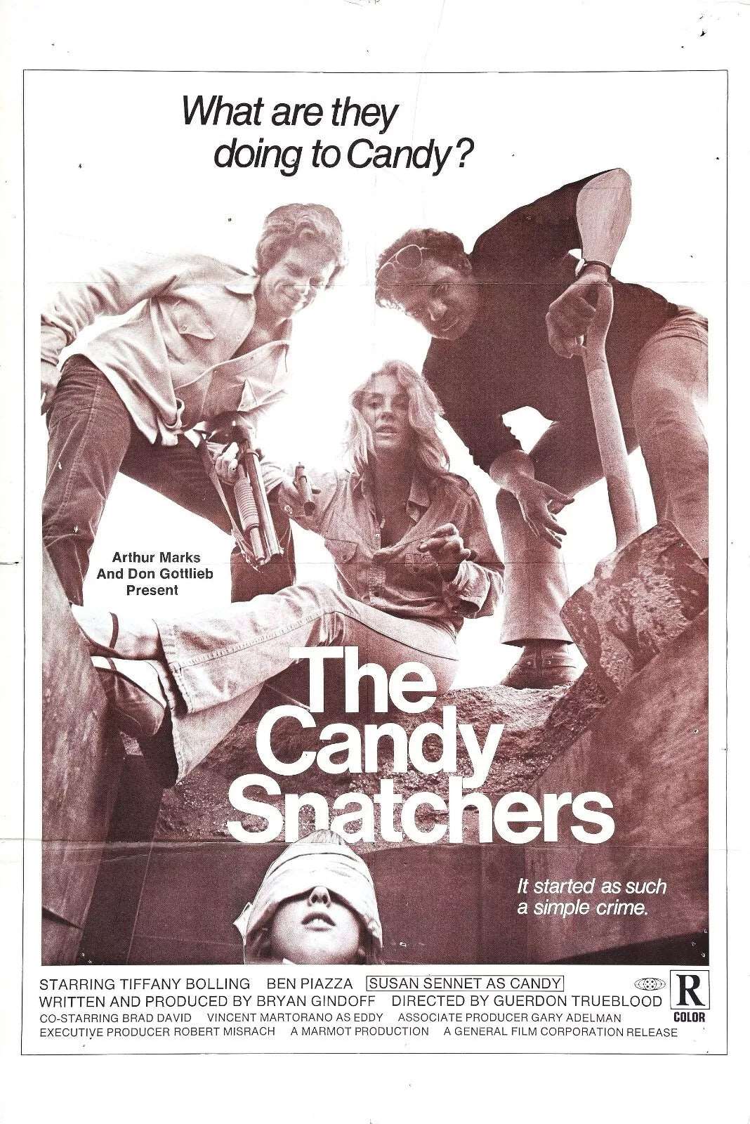 THE CANDY SNATCHERS (1973) Vincent Martorano - DVD - Public Domain DVD NO CASE