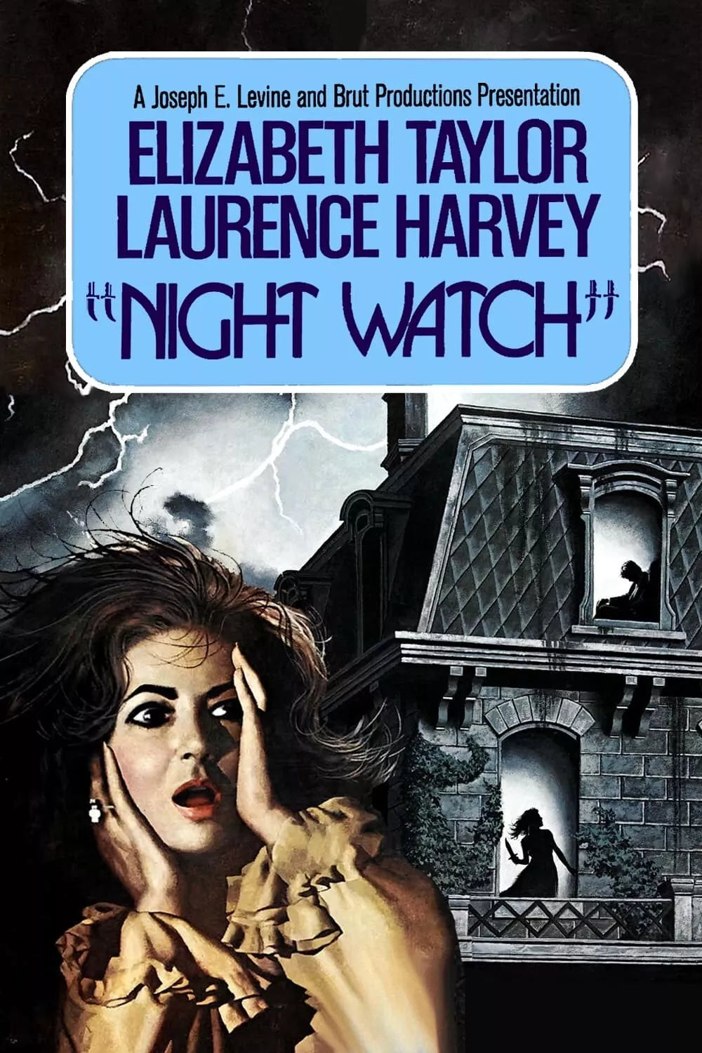 NIGHT WATCH (1973) Elizabeth Taylor - Public Domain DVD NO CASE