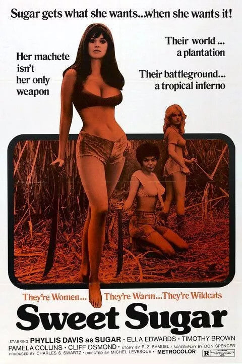 SWEET SUGAR  (1972) - Timothy Brown, Pam Collins - Public Domain DVD NO CASE