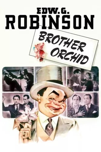 BROTHER ORCHID (1940) Edward G. Robinson,Ann Sothern,Humphrey Bogart - Public Domain DVD NO CASE