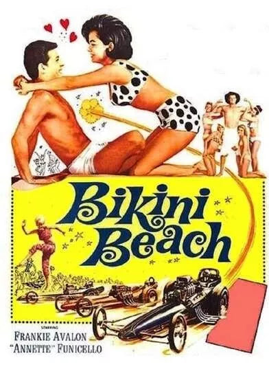 HOW TO STUFF A WILD BIKINI (1965) Frankie Avalon - Public Domain DVD NO CASE