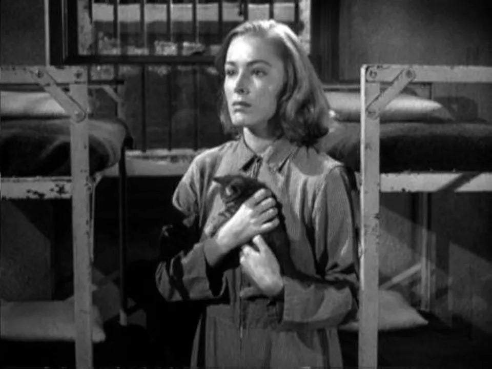 CAGED (1950) Eleanor Parker,Agnes Moore - Public Domain DVD NO CASE