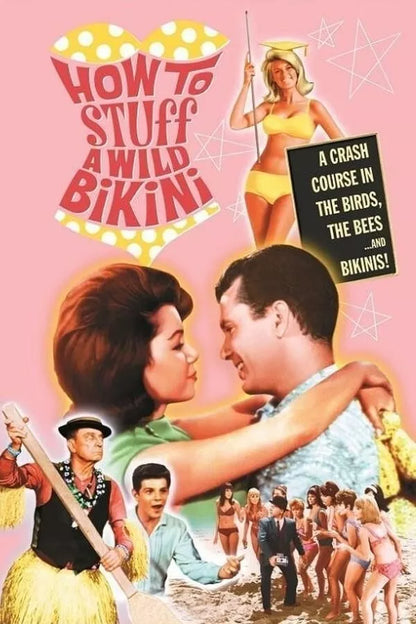 HOW TO STUFF A WILD BIKINI (1965) Frankie Avalon - Public Domain DVD NO CASE