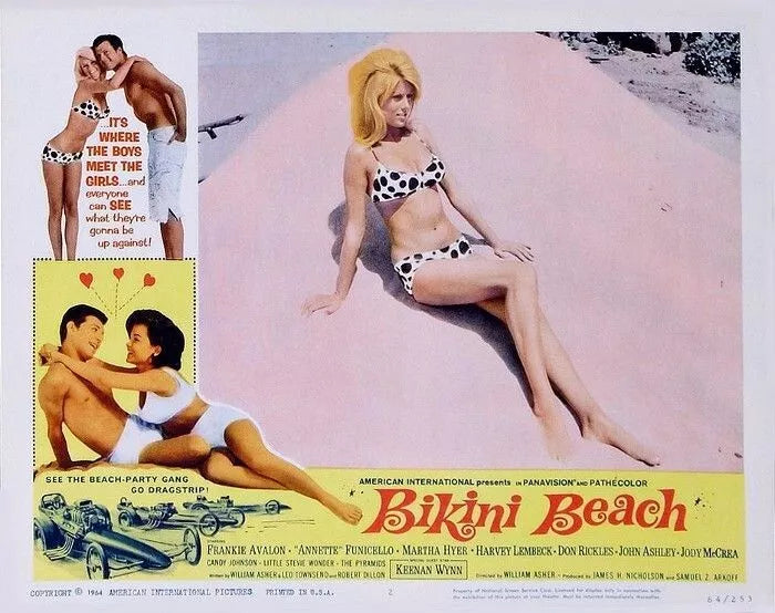 HOW TO STUFF A WILD BIKINI (1965) Frankie Avalon - Public Domain DVD NO CASE