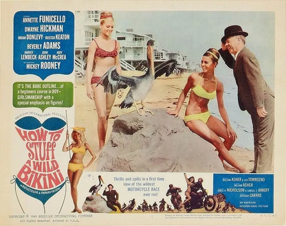 HOW TO STUFF A WILD BIKINI (1965) Frankie Avalon - Public Domain DVD NO CASE